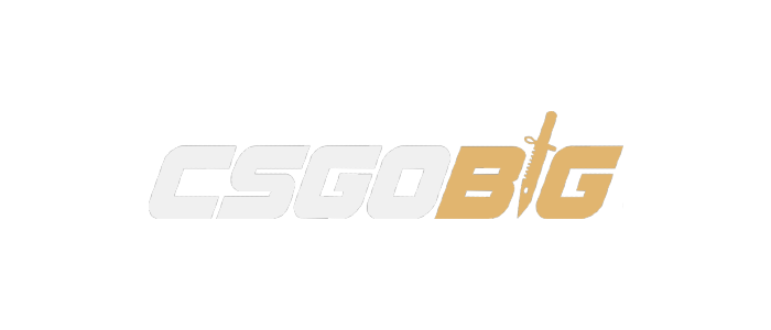 CSGOBig